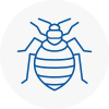 Bed Bug Extermination In Highbury