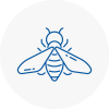 Bee Nest Removal Highbury