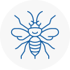 Highbury Hornet Nest Removals
