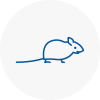 Mice Exterminators In Highbury