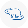 Rat Control Highbury