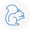 Highbury Rodent Removals
