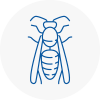 Highbury Wasp Nest Removal